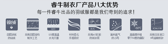 八大优势.jpg