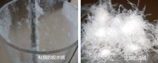 羽绒服价格