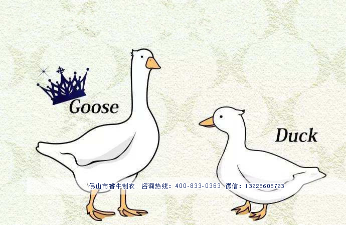 爱彩网81881厂家